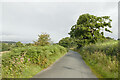 Brimham Rocks Road approaching Moor Bottom