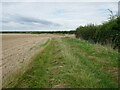 Bridleway to Caunton