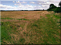 Field and footpath, Shippon