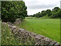 Grassy fields and drystone walls