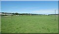 A large grass field, Axe Farm, near Wadbrook