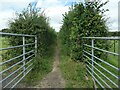 Hedged path, South Town, Medstead