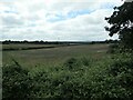 Farmland, West End, Medstead