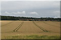 Farmland, Birtley