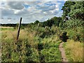 Path towards Kidderminster Road in Catchems End