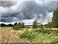 Footpath off Beck Lane