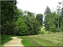 TQ3331 : Wakehurst Place - Bloomer's Valley by Colin Smith