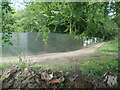 Security fence, Thorner Moor Plantation, Bramham Park