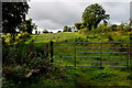 Glengeen Townland