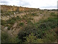 Cliff edge of the former Greetwell Quarry, Lincoln