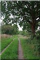 Little Clacton Bridleway 10 / Lodge Road