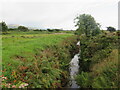 SH5723 : Drainage ditch near Dyffryn Ardudwy by Malc McDonald