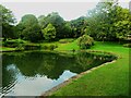 The pond, Harold Park, Low Moor