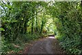 Cotford St Luke : Burge Farm Lane