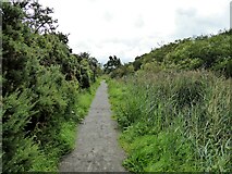 NY2461 : Path on route of former railway by Kevin Waterhouse