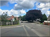 SK5464 : Park Hall Road in Mansfield Woodhouse by Jonathan Clitheroe