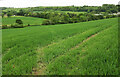 Farmland south of Buckland Newton