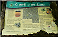 ST6903 : Crowthorne Lane information board by Derek Harper