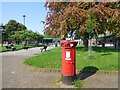 Decorated postbox