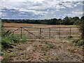 Farmland next to Hill Lane, Countesthorpe