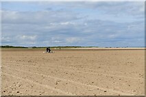 TF8845 : Holkham Beach: A dog walkers paradise by Michael Garlick