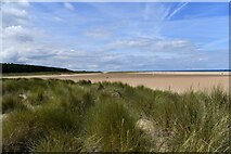 TF8845 : Holkham Beach from the edge of the dunes by Michael Garlick
