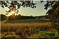 Farmland along Habberley Road