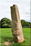 NY5737 : Little Salkeld, Long Meg and her Daughters: The stone known as 'Long Meg' by Michael Garlick