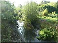 River Penk by Upper Lake