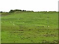 Old workings outside Embsay