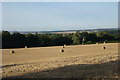 Bales in field south of Auchterarder