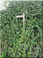 Public Footpath sign