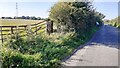 Gathering blackberries on side of road between Bunkershill and Little Orton