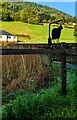 Sheep silhouette in rural Monmouthshire