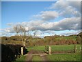 Cattle grid on The Cumbria Way