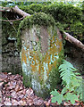 Old Milestone by the B6342, Wallington, Wallington Demesne parish