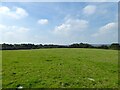 Lower Barn Field