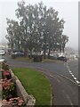 ST3090 : Foggy view of trees on a Malpas corner, Newport by Jaggery