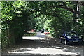 Footpath, Lamorbey Park