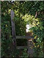 Stile to Little Clacton Footpath 20