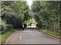 Dark Lane in Telford Town Park