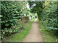 Path at the back of Stephenson Drive