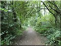 Path next to the Pear and Partridge