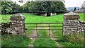 Pairs of gateposts on track to Woodhall Park Farm from The Straights