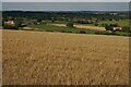 Barley field by Woodhead Lane