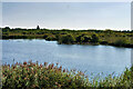 SD4213 : Martin Mere Wetland Centre, Pat Wisniewski Reedbeds by David Dixon