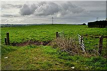 H5572 : An open field, Mullaghslin Glebe by Kenneth  Allen