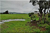 H5572 : A wet field, Mullaghslin Glebe by Kenneth  Allen
