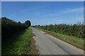 Warter Road near Chantry Lane