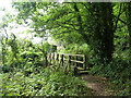 Footbridge on footpath FP 101, Farnham